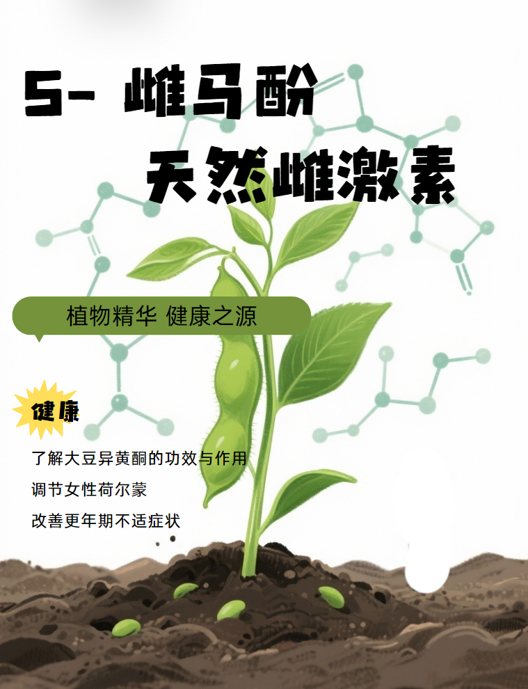 S-雌马酚：如何从肠道到细胞，精准应对美国女性更年期健康？进口保健品代工厂为你解答