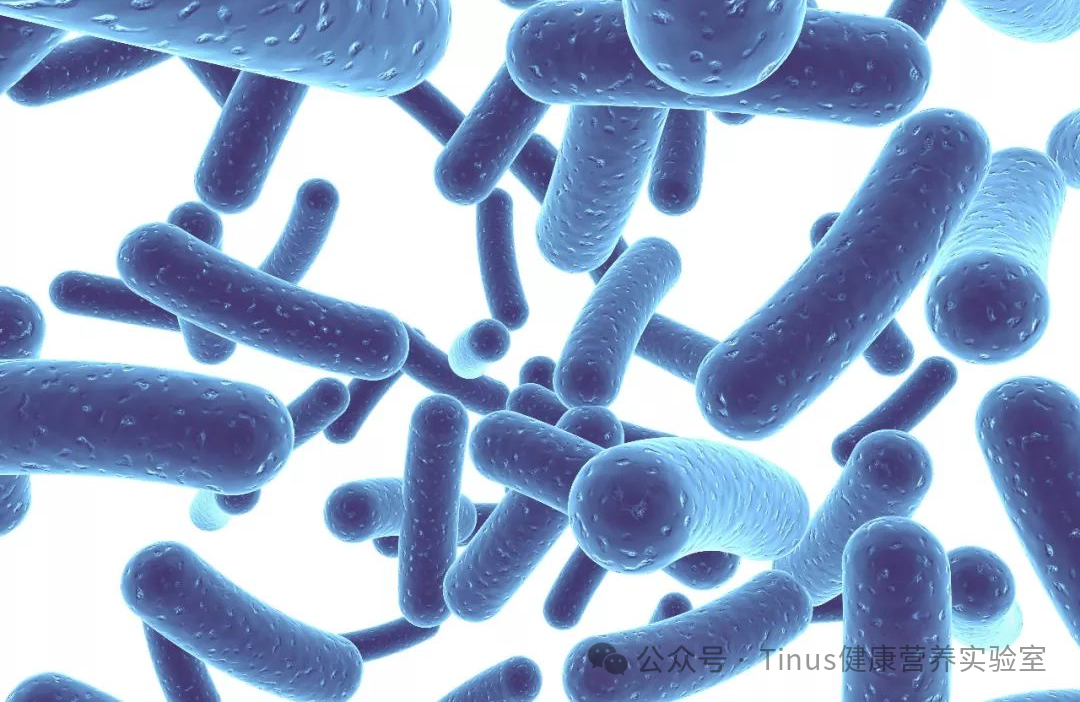不止于肠道：美国益生菌如何影响你的情绪、皮肤与代谢？香港保健品代工厂带来解析